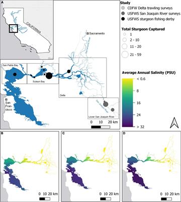 Diversity in Habitat Use by White Sturgeon Revealed Using Fin Ray Geochemistry